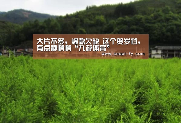九游体育